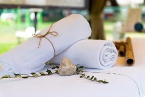 hotel hedera