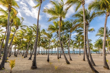 Playabachata Spa Resort - All Inclusive,Near Ocean World Adventure Park,4 star