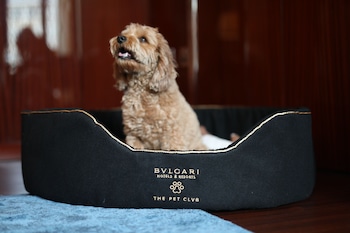 bvlgari hotel london