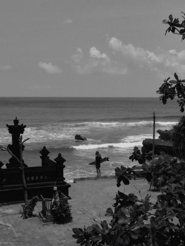 the surf motel