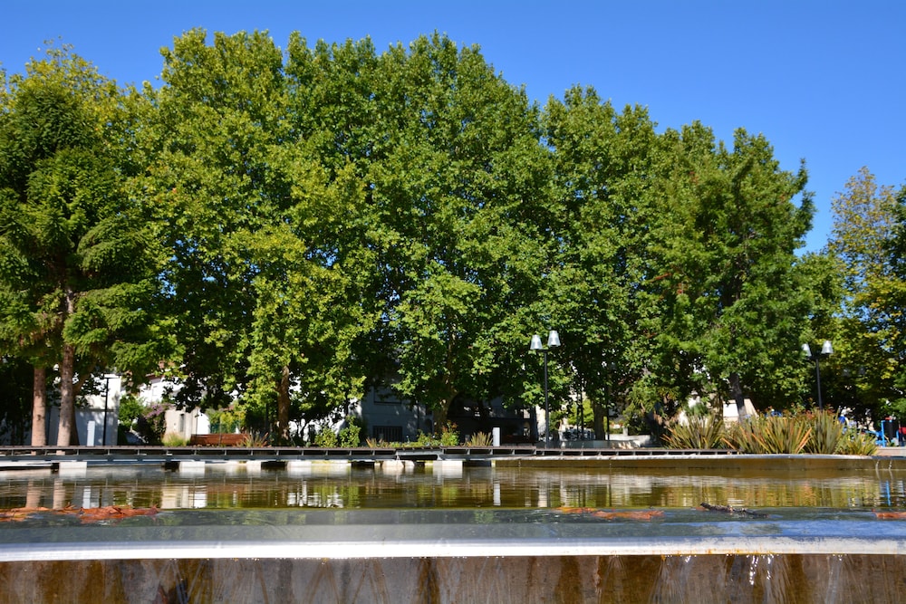 hotel eurosol alcanena
