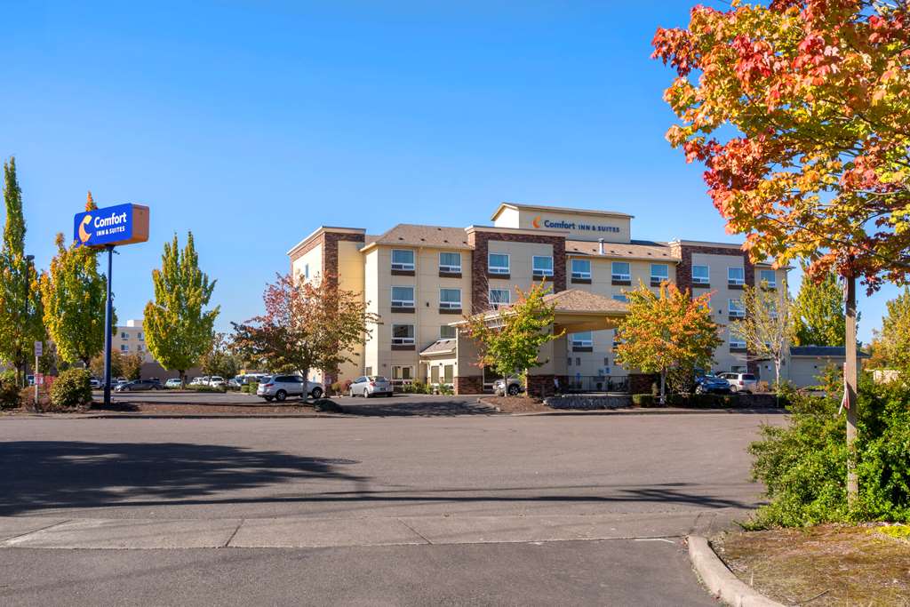 comfort inn and suites salem