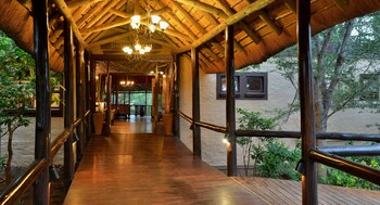 nkomazi