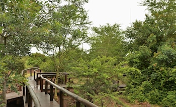 nkomazi
