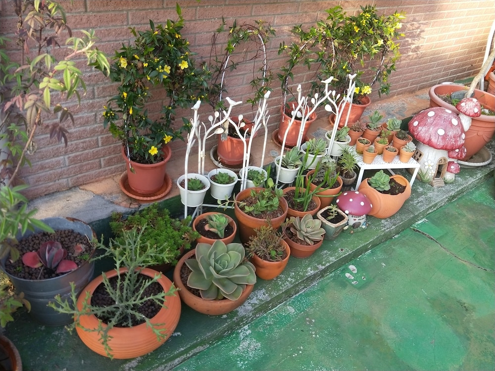 garden life homestay