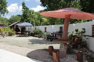 newstar homestay