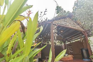 newstar homestay