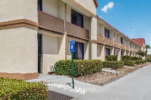 red roof inn and suites brunswick i 95