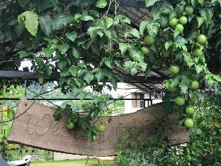 western ghats holiday home