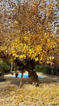 auberge des cascades