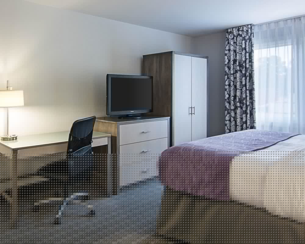 comfort inn williamsburg gateway