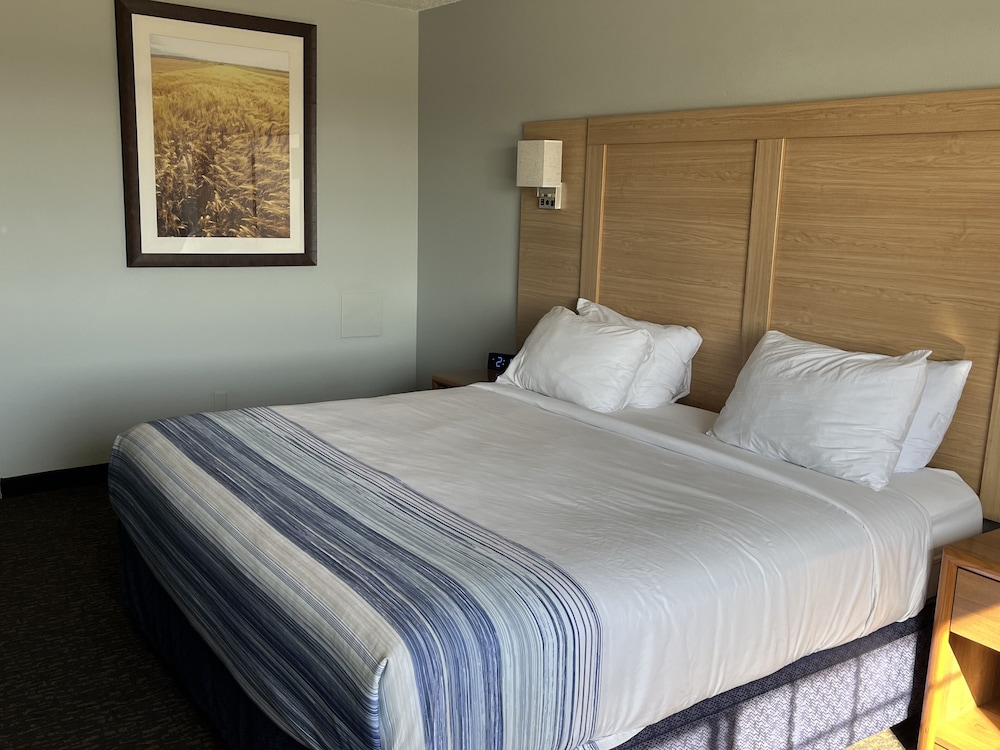 cozy house inn and suites