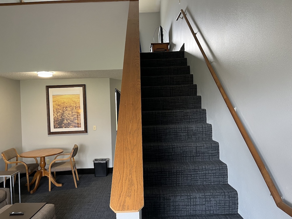 cozy house inn and suites