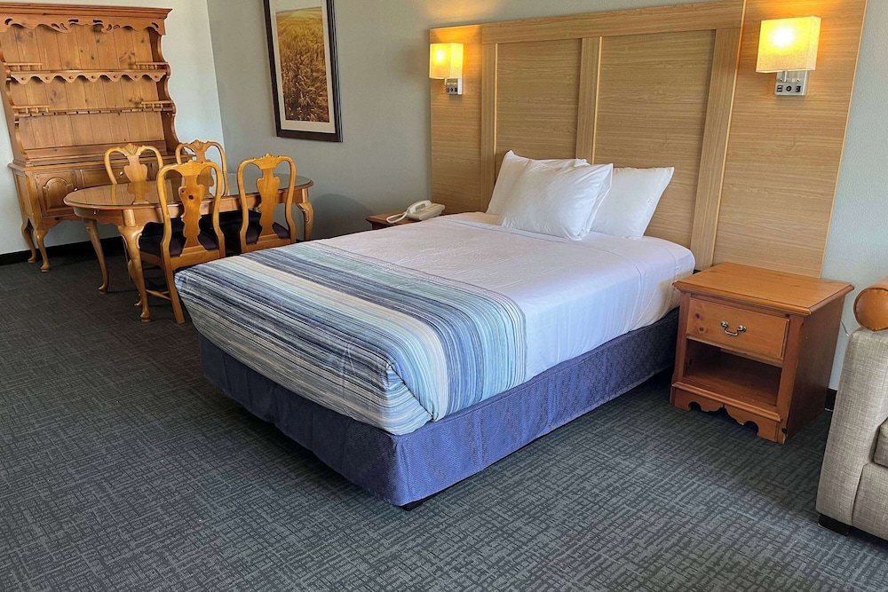 cozy house inn and suites