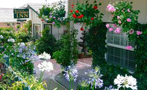 carmel fireplace inn