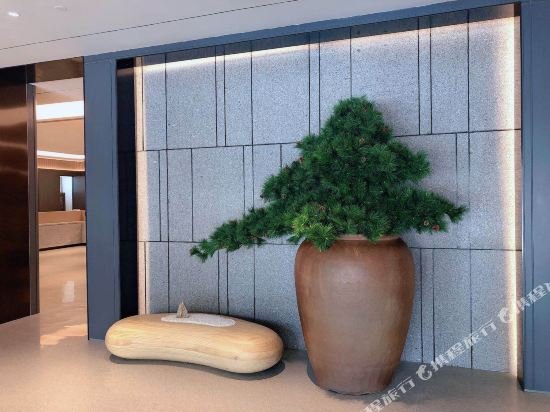 ji hotel shanghai pudong airport free trade zone