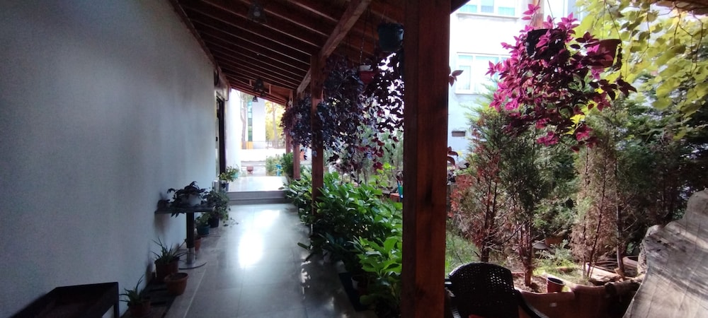 ceneviz suit apart otel