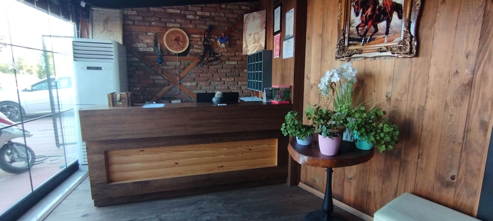 ceneviz suit apart otel