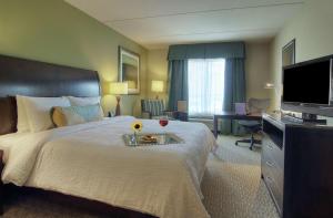 hilton garden inn houston pearland