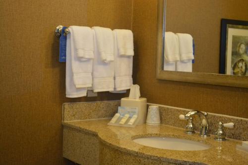 hilton garden inn houston pearland