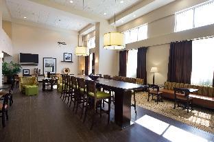 Hampton Inn & Suites Houston-Bush Intercontinental Aprt,Downtown Houston>>Aldine,3 star