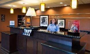 Hampton Inn & Suites Houston-Bush Intercontinental Aprt,Downtown Houston>>Aldine,3 star