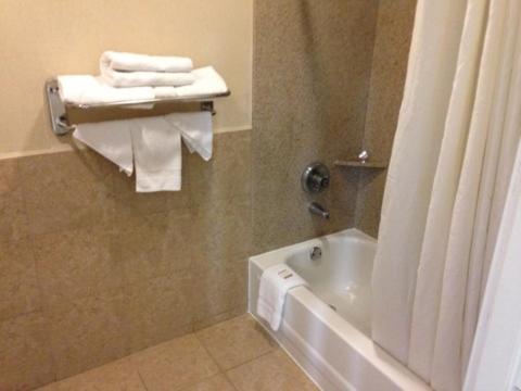 executive inn and suites houston