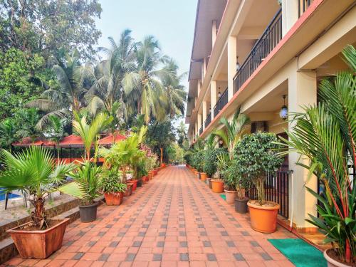 goa