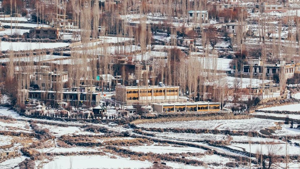 ladakh sarai resort