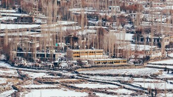 ladakh sarai resort