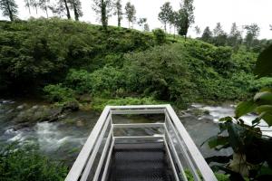 meppadi