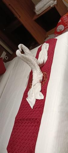 hotel tanishka inn