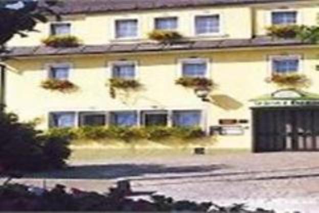 hotel gruner baum