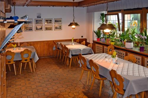 hotel gruner baum