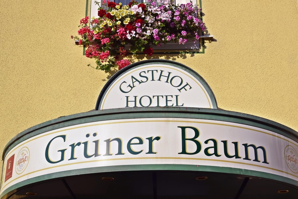 hotel gruner baum