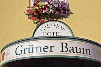 hotel gruner baum