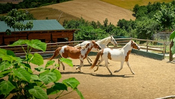 3 hills boutique the ranch experience