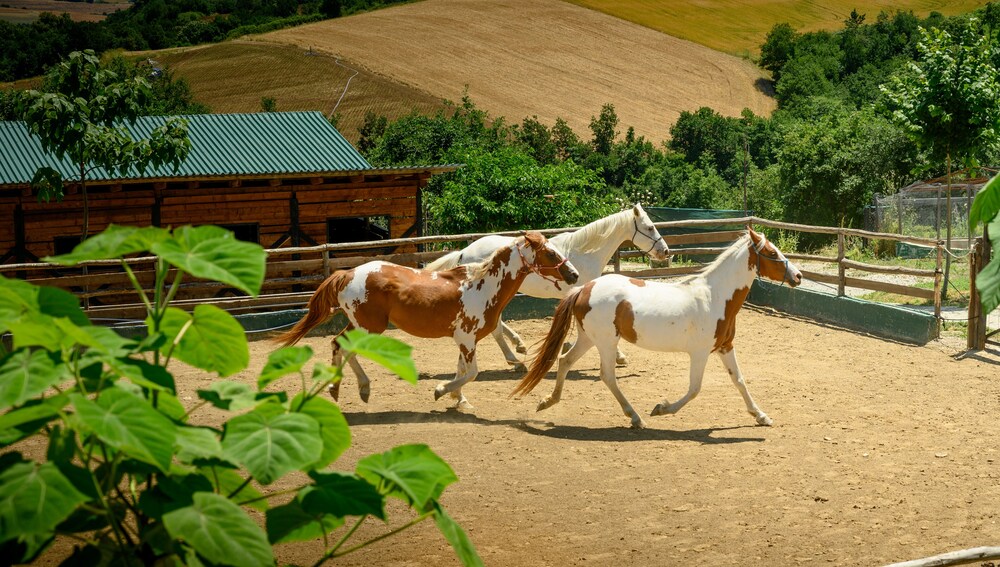 3 hills boutique the ranch experience