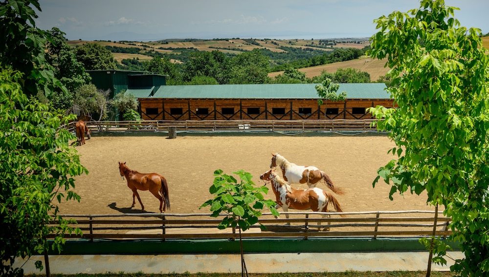 3 hills boutique the ranch experience