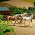 3 hills boutique the ranch experience