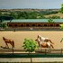 3 hills boutique the ranch experience