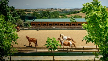 3 hills boutique the ranch experience