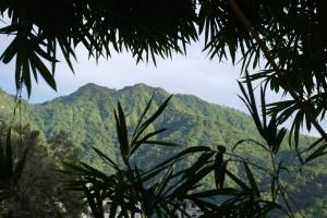 mvt resort and restaurant