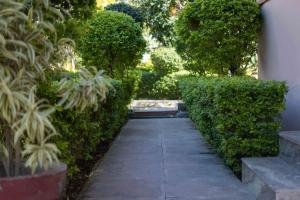 mvt resort and restaurant