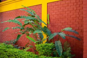 mvt resort and restaurant