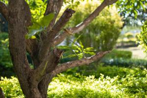 mvt resort and restaurant