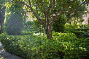 mvt resort and restaurant