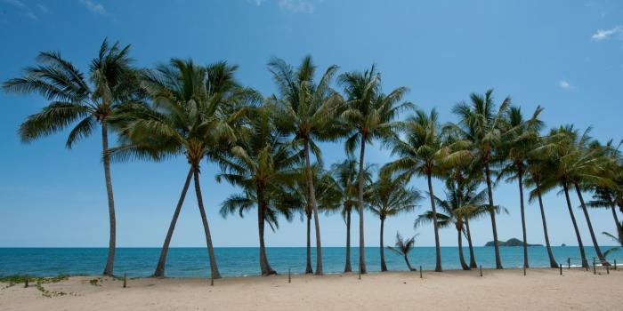 ellis beach oceanfront bungalows