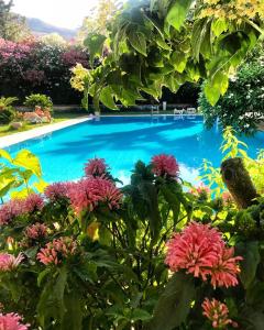 villa megna green paradise bandb