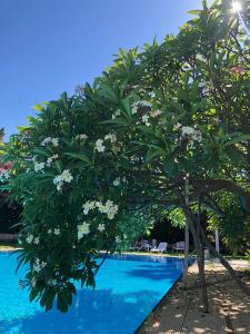 villa megna green paradise bandb